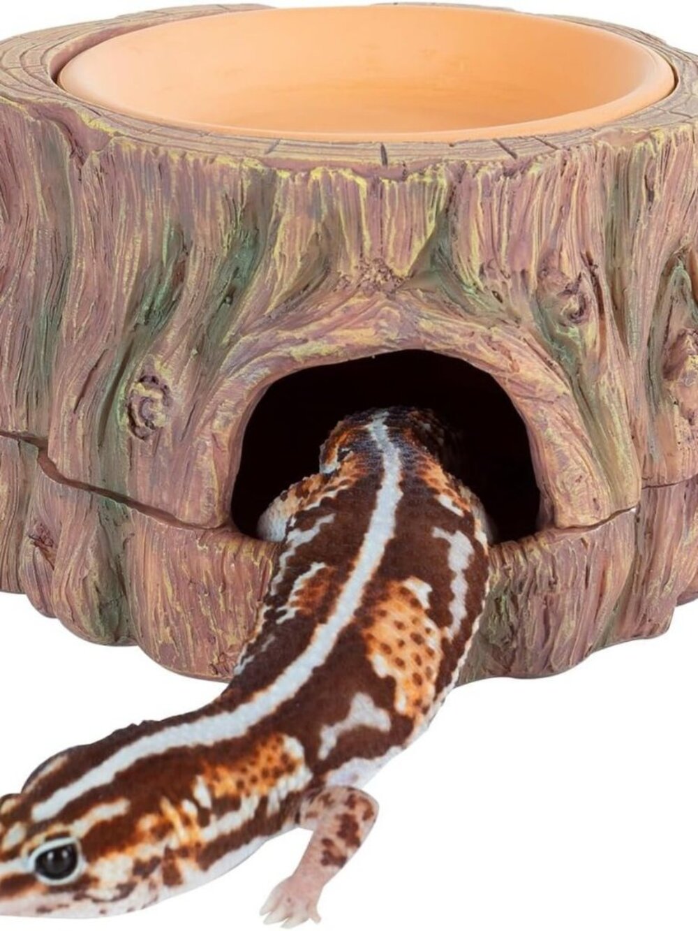 3 in 1 Reptile Hide Cave with Detachable Base & Humidity Dish, Essential Tank Te